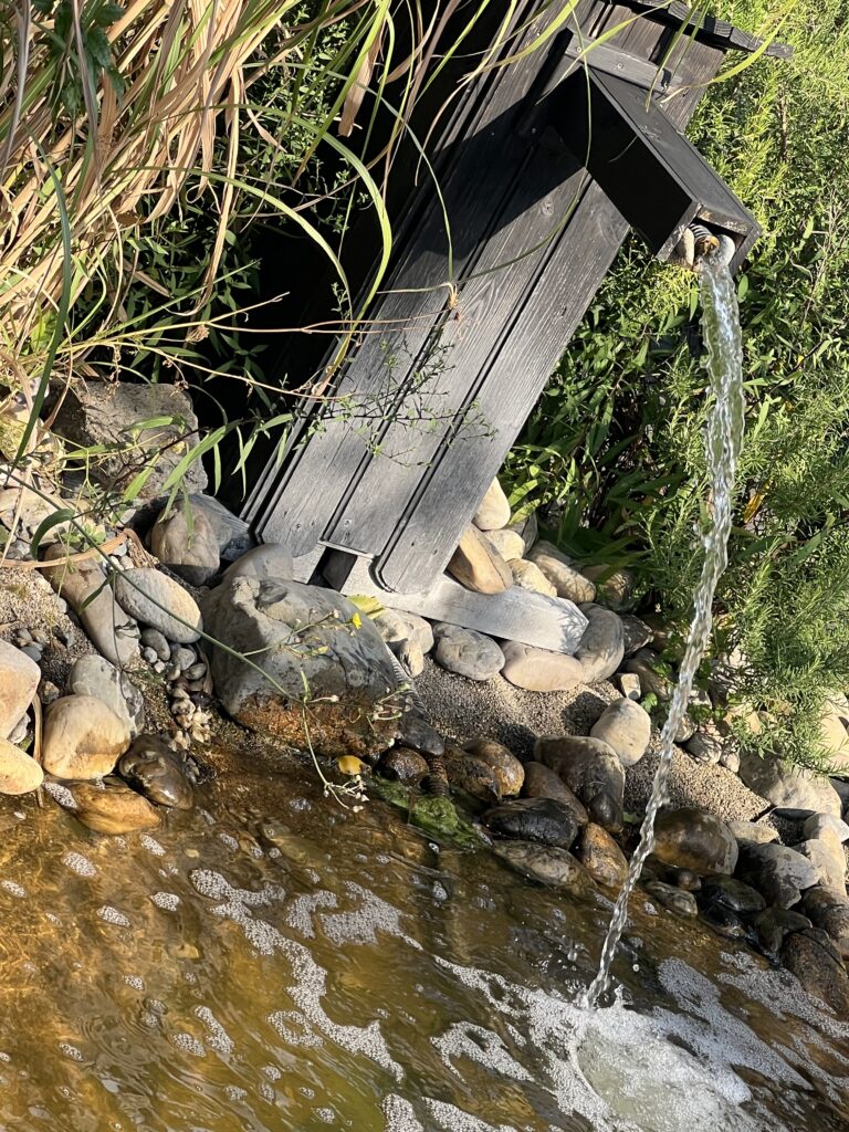 Kleines Biotop Naturkunde Hexengarten Angela Dangl