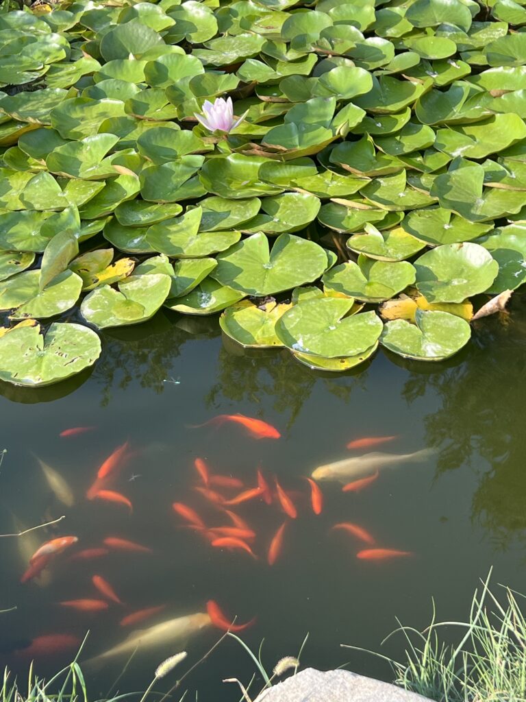 Biotop mit Wasserlauf Naturkunde Hexengarten Angela Dangl